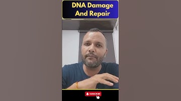 CSIR NET 2024 | Life Science | DNA Damage and Repair | By Dr Lalit Pal Sir #shorts