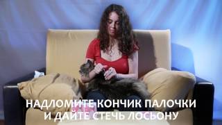 Палочки для чистки ушей кошек