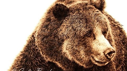 Fine Art Pyrography with Julie Bender