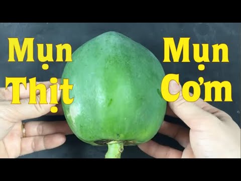 Video: Loại bỏ mụn cóc cho chó bằng Thuja