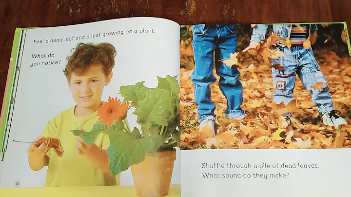 Leaves by Ruth Thomson Plants Book Preschool Science
