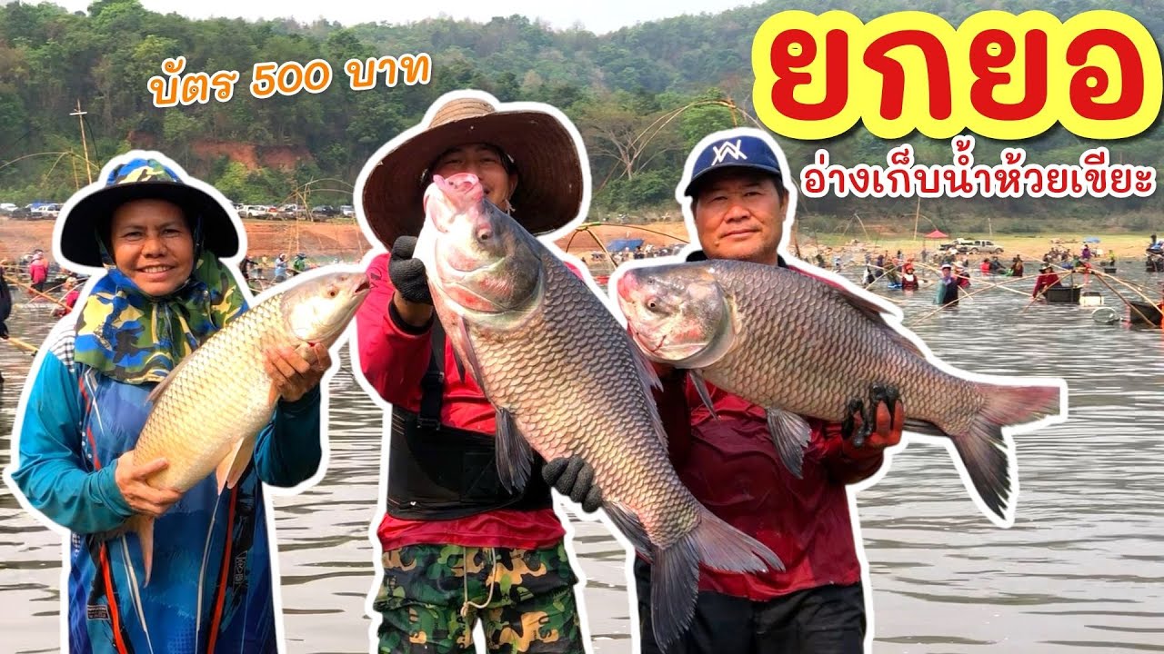 ยกยอ ห้วยเขียะ ►Fishing lifestyle Ep.825