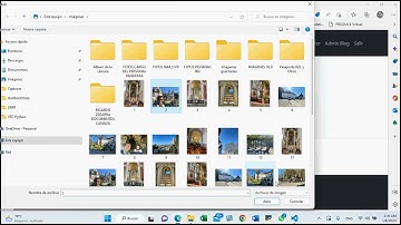 PROYECTO FINAL CODERHOUSE PYTHON