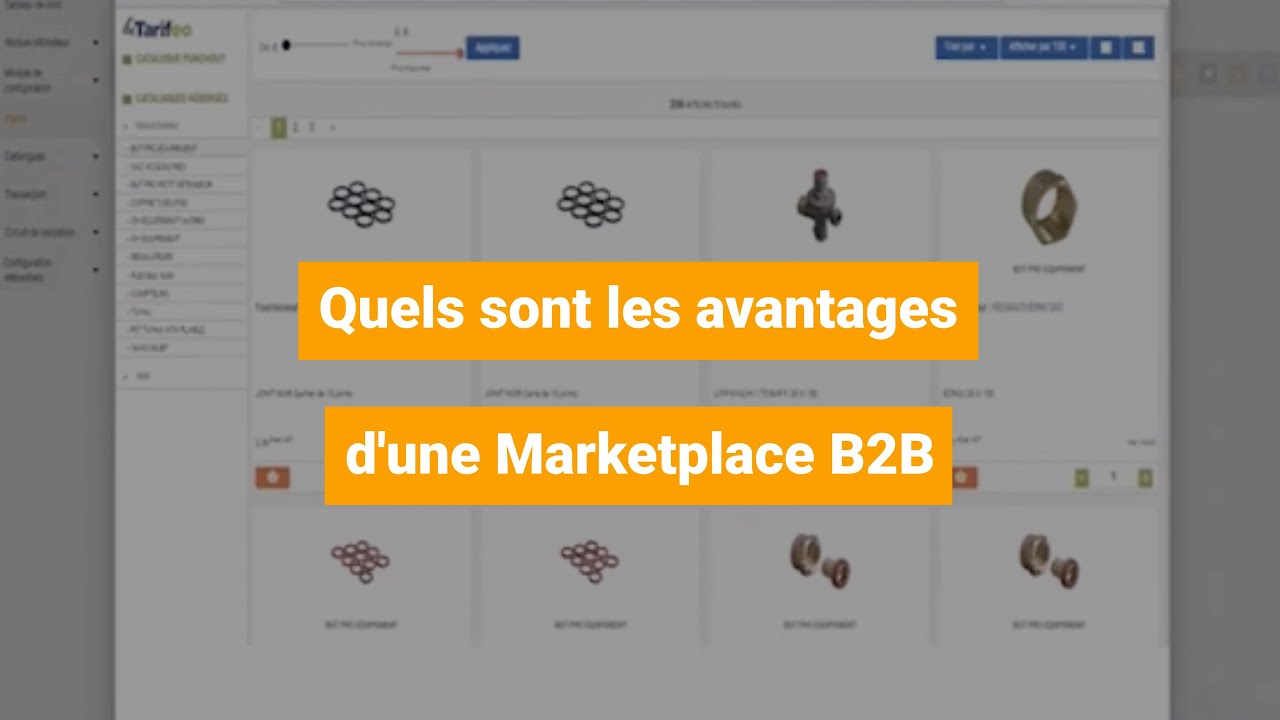 Quels sont les avantages d'une Marketplace B2B ?