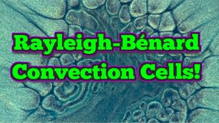 Rayleigh-Bénard Convection Cells in RamZland!⚗️ #STEM #Convection #RamZland 