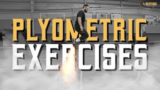 6 EXPLOSIVE Plyometric Exercises To Increase Your Vertical Jump | Jump Higher FAST!