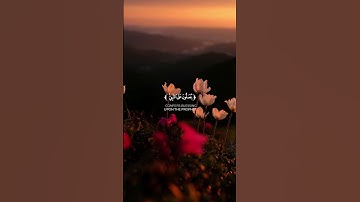 الآية 56 من سورة الاحراب القارئ بيشه وا الكردي