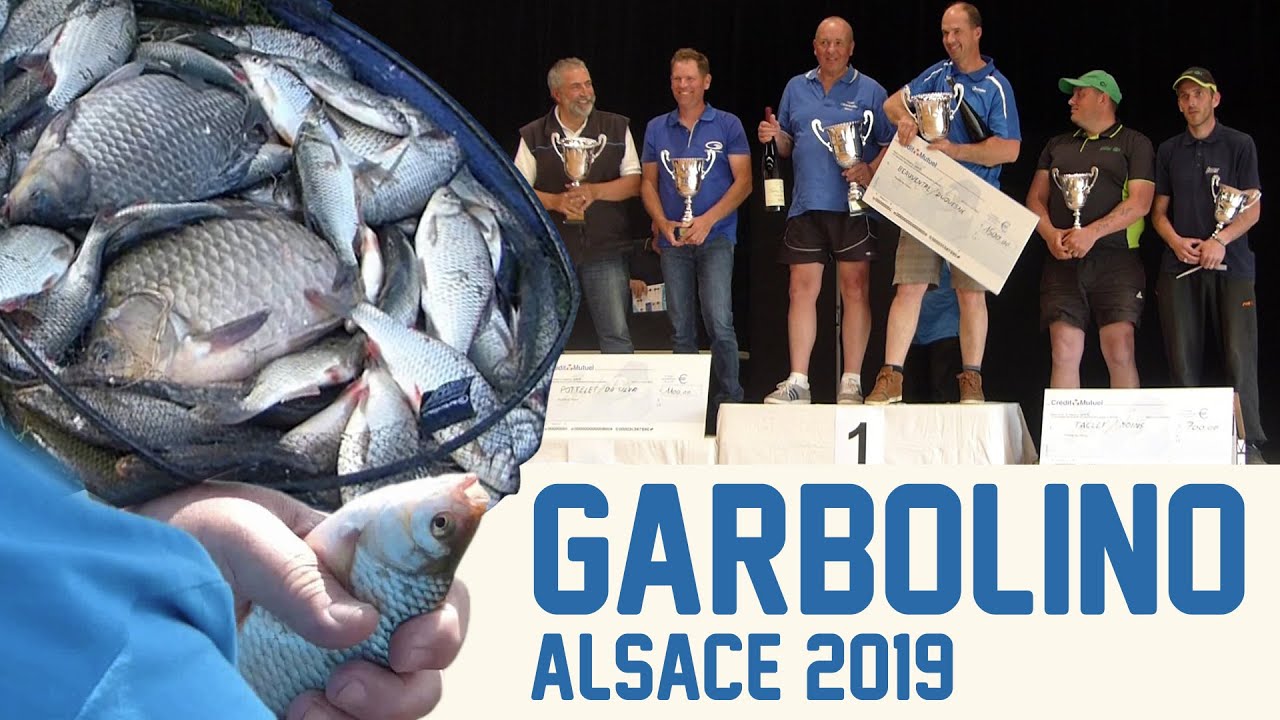 Video peche au coup competition 2019 Clearance