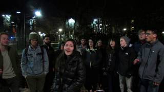 Daisy (A Cappella) - Temple University's Pitch, Please