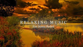 Great Relaxing Music - Calm and Peaceful Background Music for Stress Relief, Stress Relief by Study Music 7 views 1 year ago 1 hour, 6 minutes