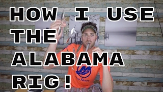 How to use the Alabama Rig, A Rig, Umbrella Rig for bass fishing!