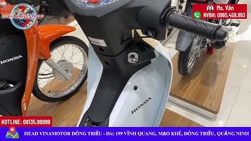 MẪU XE WAVE ALPHA 2024 PHIÊN BẢN CỔ ĐIỂN VỚI 2 MÀU SẮC HOÀN TOÀN MỚI LẠ RA MẮT  SẮM DỊP TẾT 2024.