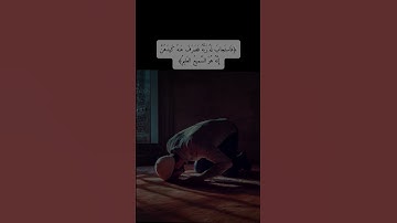 سورة يوسف القارئ إسلام صبحي