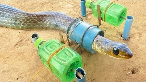 Easy Snake Trap Creative Method DIY Snake Trap Using Deep 100/ snake