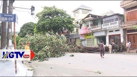 Cảnh báo cây xanh gãy đổ do mưa to gió lớn  - Ngày 21/7/2022