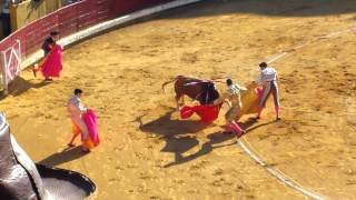 Manzanares, José María. Plaza de toros de Burgos 01/07/2014 - www.tispain.com