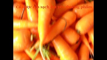 Máy rửa củ cà rốt, khoai lang, khoai tây, củ cải...- Carrot, yam, radish washing machine