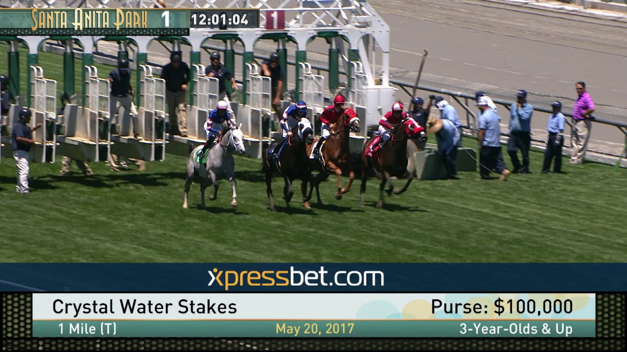 Crystal Water Stakes (Cal-breds) - May 20, 2017.