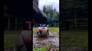 #приколы #аварии #новости #авария #велосипед #смешныевидео #дтп #юмор #видеорегистратор #животные