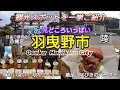 【見どころいっぱい】大阪・羽曳野市 Osaka prefecture Habikino city／観光スポットを一挙紹介