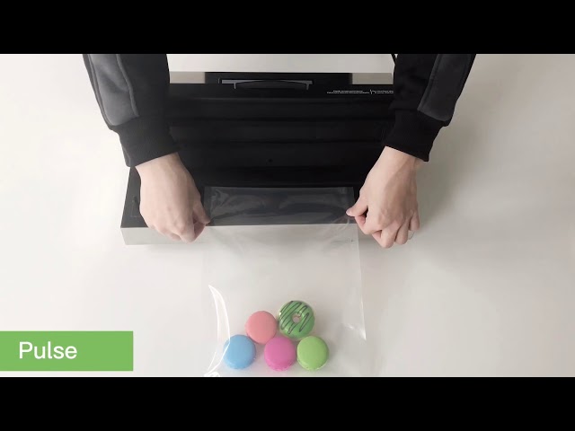 How to use Beelicious Pro Vacuum Sealer VS6612 / VS6612X 