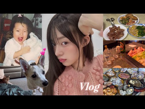 K장녀의 설날 Vlog 내 고향 부산🌊 찐로컬맛집 효도피부과 방송찍고 가족들이랑 처음 만남..