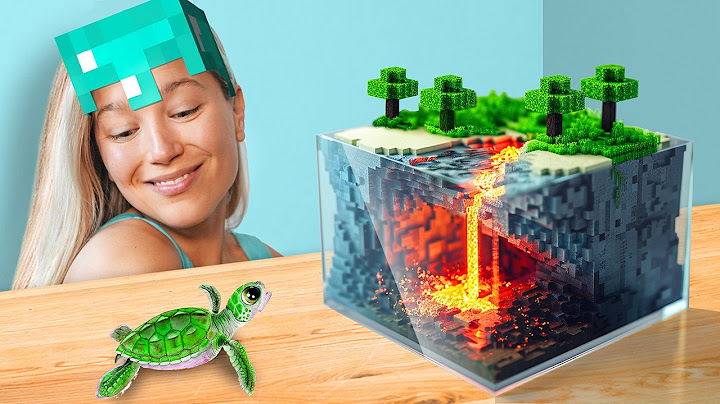 I Built a $10,000 Minecraft Ecosystem for my Turtle!