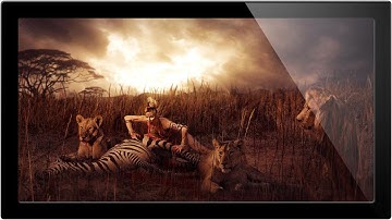 The Only Way To Succeed As A Photographer - A Phlearn Video Tutorial