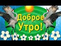 Доброе утро! Приятного Дня!