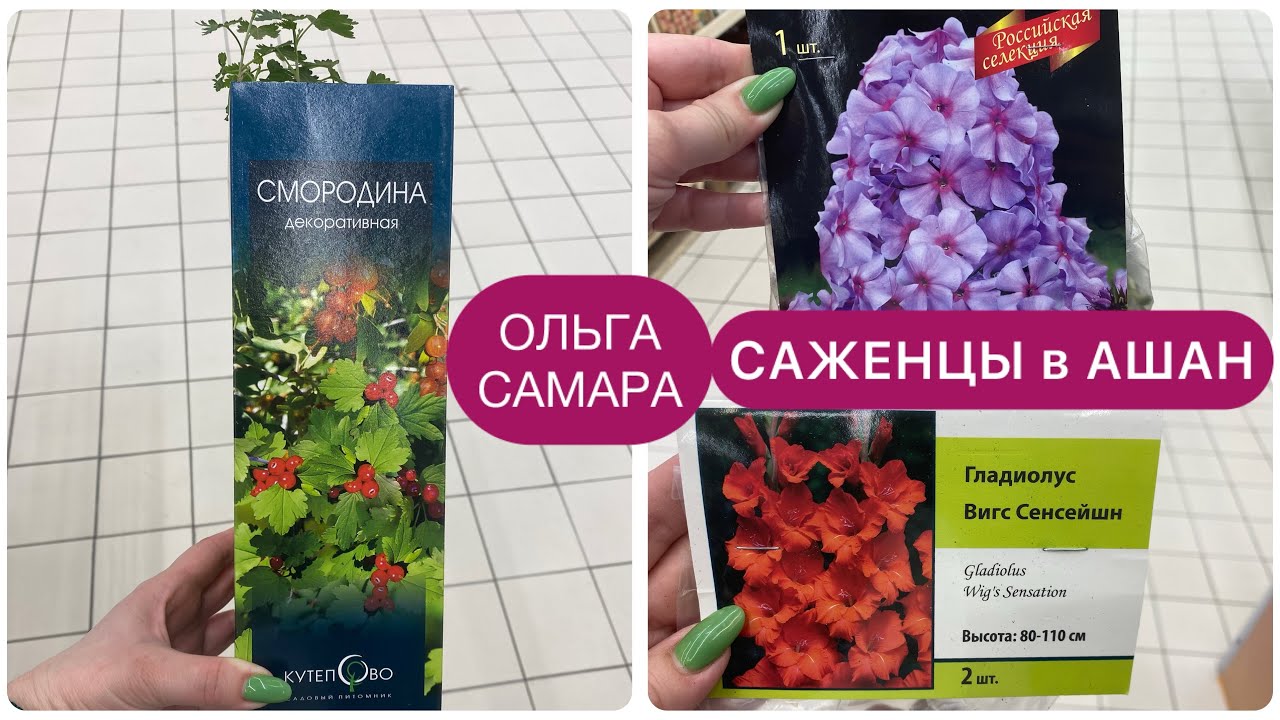 Купить Саженцы Растений В Воронеже