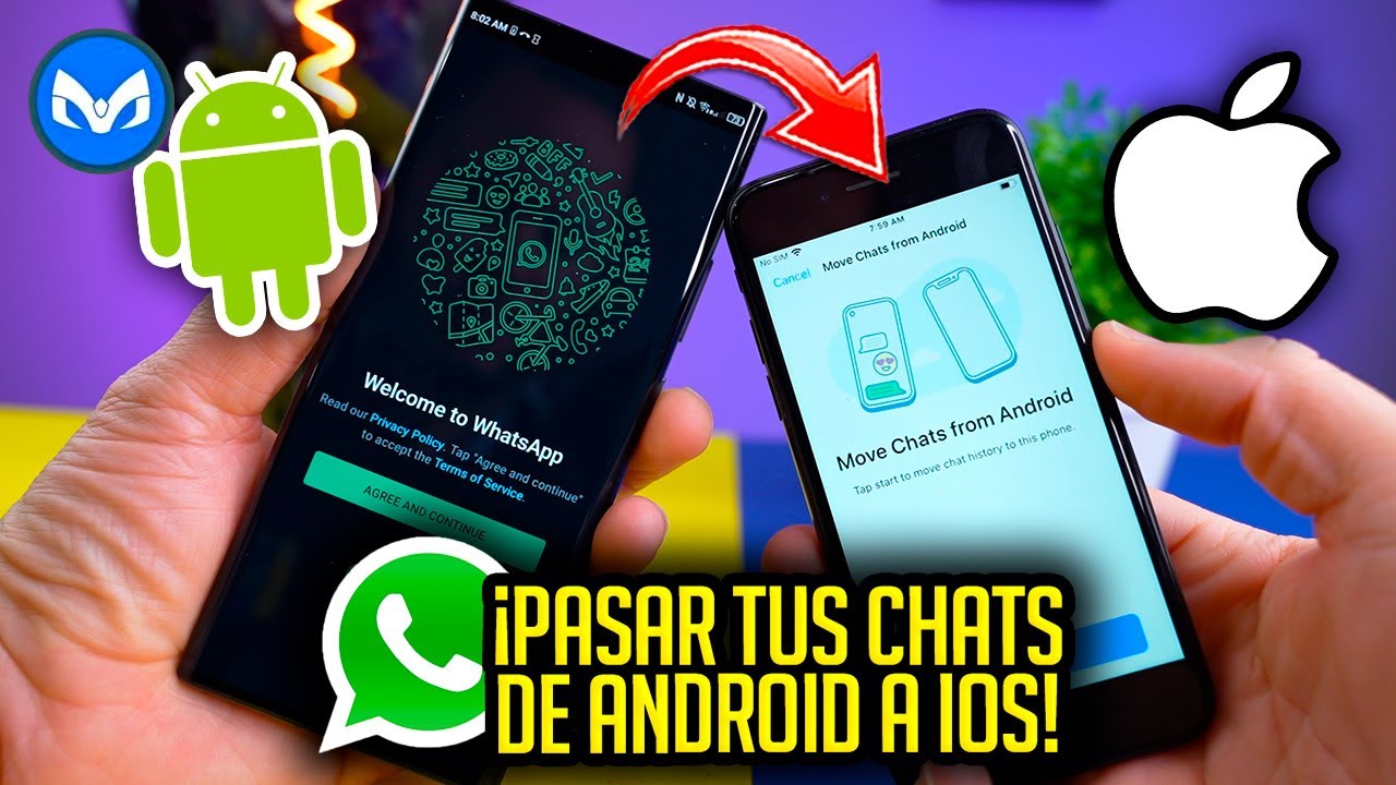 PASAR TU WHATSAPP DE ANDROID A IPHONE - PASO A PASO - YouTube