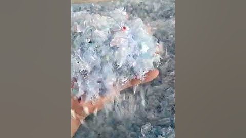 Blue and white bottle flakes PET sorting line,email:focusee.tech@gmail.com