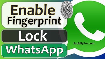 How to Enable Fingerprint Lock in WhatsApp - Official