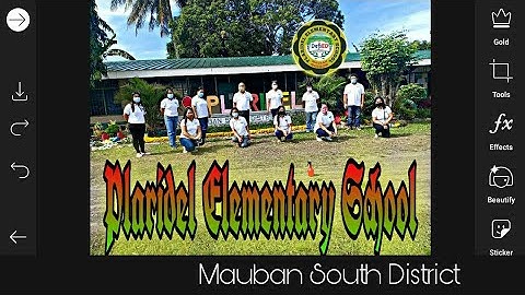 A Simulation of Distribution and Retrieval of Self Learning Modules Plaridel ES