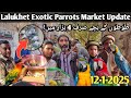 Lalukhet Biggest Parrots Market Latest Update 12-1-2025 | Exotic Parrots & Pets Market In Pakistan