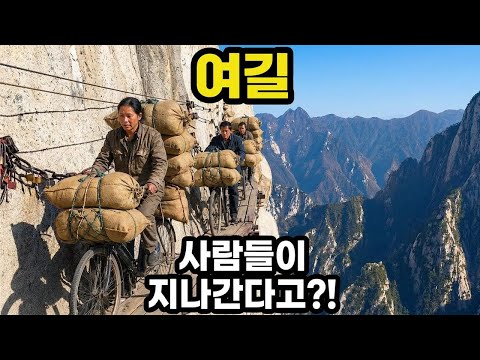 악몽 같은 길들! 전 세계에서 가장 위험한 도로들!