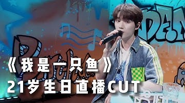 【TNT时代少年团 丁程鑫】《我是一只鱼》21岁生日直播CUT