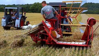 Traktortreffen Aspach 2012 - Mähbinder und Pflug auf dem Feld