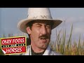 Boycie to the Rescue | Only Fools and Horses | BBC Comedy Greats