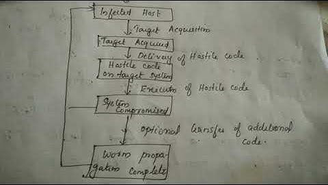 Worms - Ktu(PIS ) Module 4