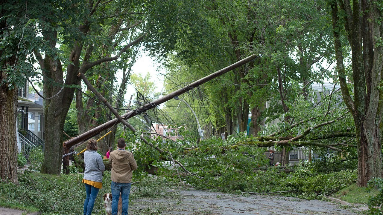Q&A | Hurricane Dorian leaves behind destruction in Atlantic Canada