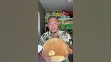 Squishmail part 2! #squishmallows #squishtok #squishmail #squishmallowunboxing #unboxing #squishy