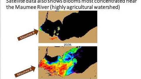 Stone Lab Guest Lecture July 26, 2018: Ohio EPA