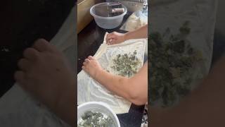 Dünyanın En Küflü Peyniri Ile Gözleme Yapımı