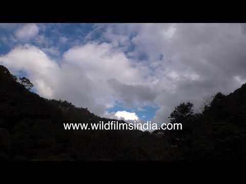 Watch clouds roll across a forested hill area in this calm and scenic mountain timelapse