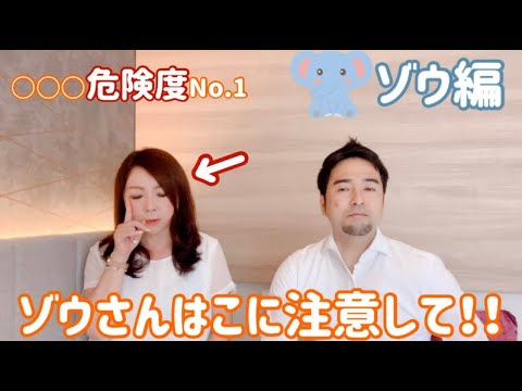 ゾウさんはめちゃくちゃ頑張りやさん！