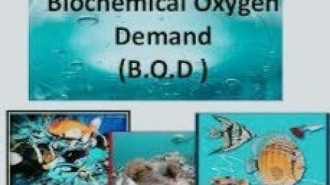 Solving numericals on BOD that is biochemical oxygen demand of the water