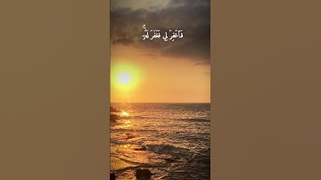 قال رب إني ظلمت نفسي فاغفر لي فغفر له إنه هو الغفور | الآية من سورة القصص