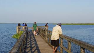 Paynes Prairie overlook boardwalk off Hwy 441 - S. of Gainesville Florida