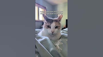 Tricky SAT geometry circle question